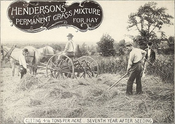 Vintage mens workwear - Harvesting cultivated hay, 1903 Vintage mens workwear - Harvesting cultivated hay, 1903